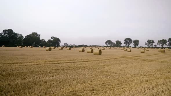 Bales on the field after summer harvest