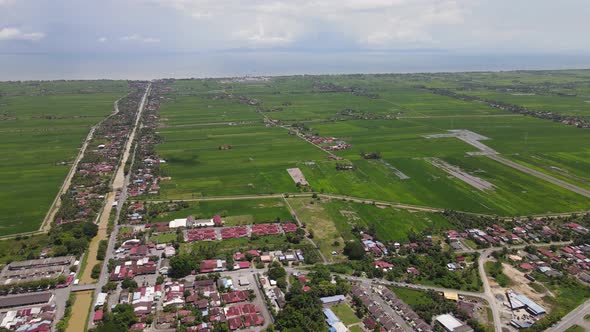 The Paddy Rice Fields of Kedah and Perlis, Malaysia