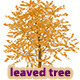 Heart Leaved Tree - GraphicRiver Item for Sale