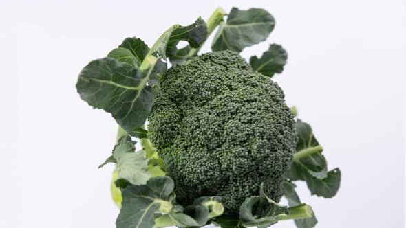 Organic Broccoli Spinning on White