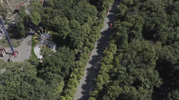 Aerial Circular Shot of the Central Alley of Gorky Park with Many Trees Working Rides in Sunny