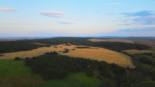 Aerial Landscape View of Yellow Cultivated Agricultural Field with Ripe Wheat on Bright Summer Day