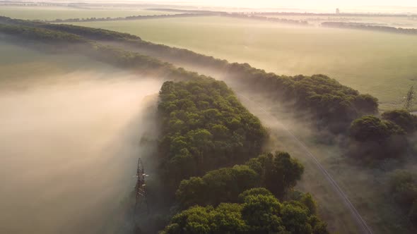 Fog Over the Forest and Railway Tracks