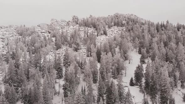 Aerial View of a Frozen Forest with Snow Covered Trees at Winter