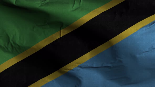 Tanzania Flag Textured Waving Background 4K