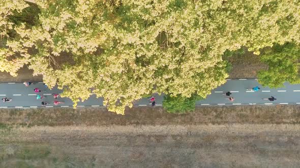 Aerial Crowd Running Marathon Under Trees