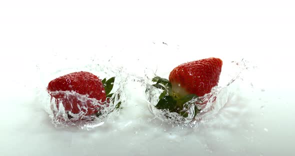 Strawberries, fragaria vesca, Falling on Water, Slow Motion 4K