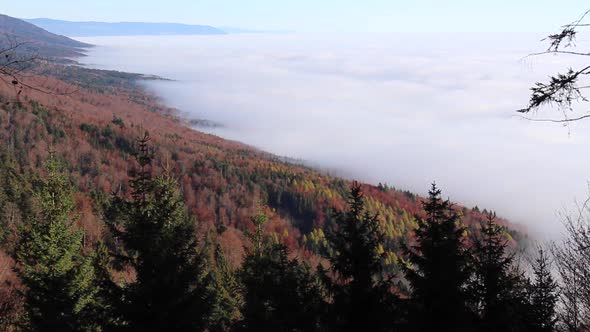 Scenic landscape of a forest in autumn with clouds and fog.