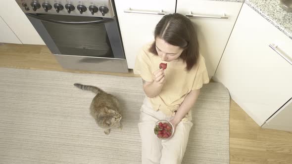 Cat Sniffs Strawberries