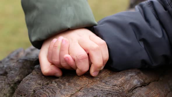 Two little girls hold each other tightly hands hugging a tree in the park