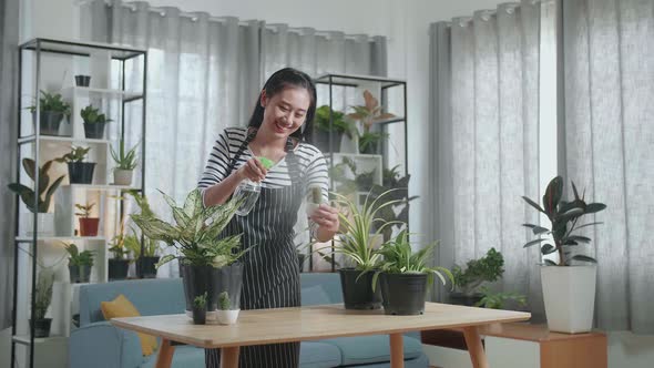 Smiling Asian Woman Holding And Watering Cactus Plant At Home