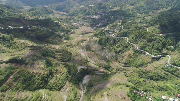 Rice Terraces Mountains