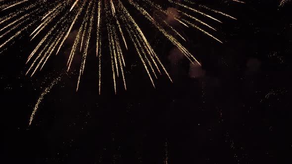 Bright Colorful Fireworks Burst in Air Against Dark Sky