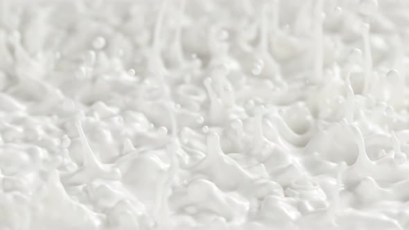 Super Slow Motion Shot of Splashing Fresh Milk at 1000Fps