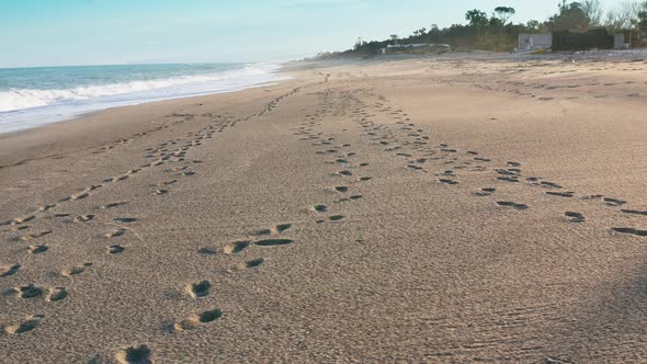 Aerial View of Footprints on the Beach