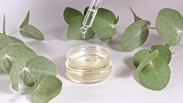 Pipette with Oil of Eucalyptus with Leaves on a White Background