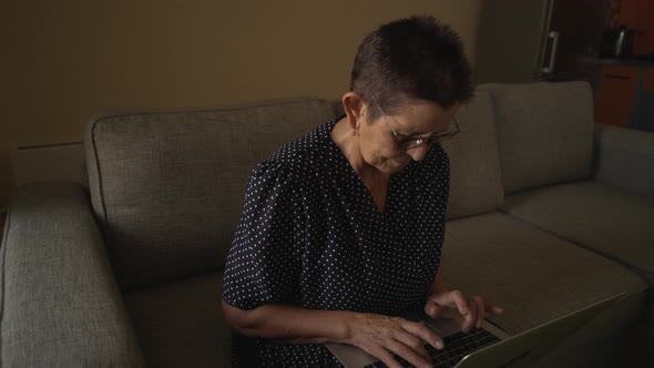 Smiling Senior Woman Sitting at Home Office Workplace Looking in Laptop