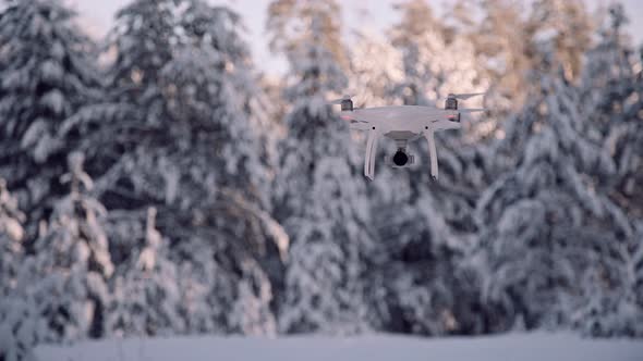 Quadrocopter for Photos and Video Is Hanging in the Air Against Forest