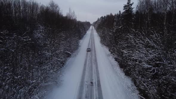 Aerial view of winter road alley surrounded by snow covered trees in overcast winter day, small snow