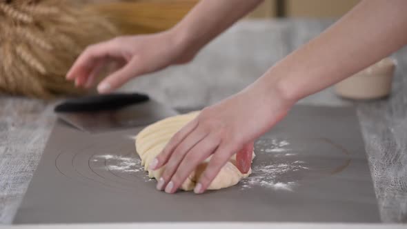 Woman Hands Rolls Bread Rolls Dough.