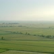 8K Wide Flat Plain Covered With Green Fields - VideoHive Item for Sale