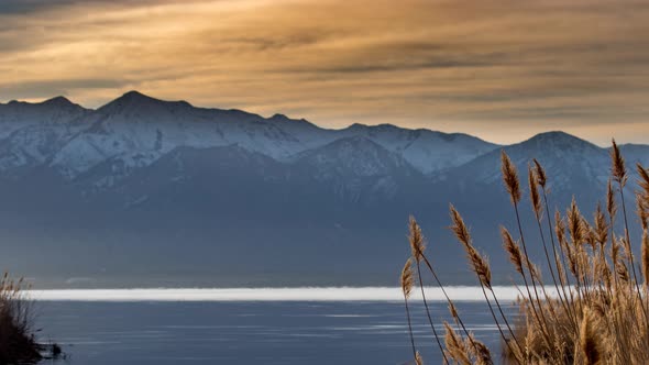 Cinemagraph of a calm lake with pampus grass focused in the foreground and the blurred mountains and