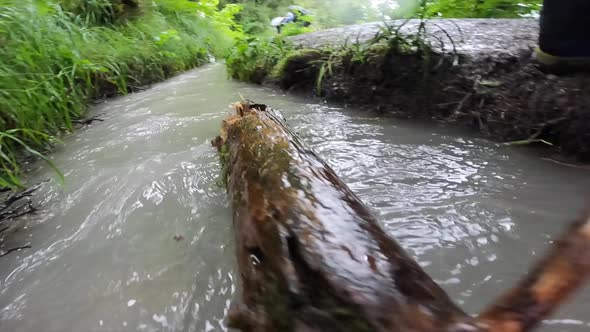 A piece of wood crosses a river launched by young hikers in the Alps, Switzerland