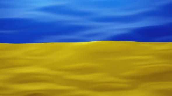 Wavy Surface of Ukrainian Flag in