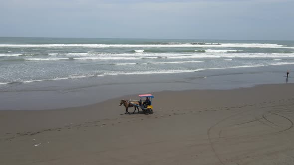 Aerial view of traditional horse cart ride on beach in Indonesia