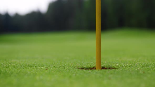 A golf ball rolling into a hole on a lawn
