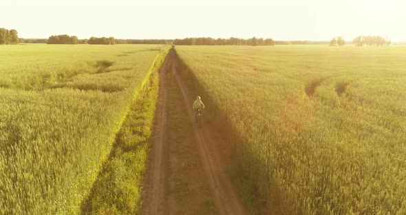 Aerial View on Young Boy, That Rides a Bicycle Thru a Wheat Grass Field on the Old Rural Road