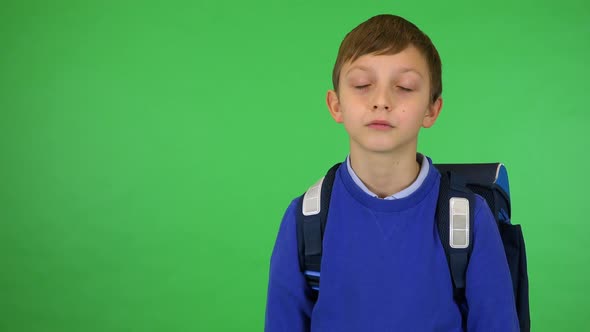 A Young Cute Boy with a Schoolbag Looks Seriously at the Camera - Green Screen Studio