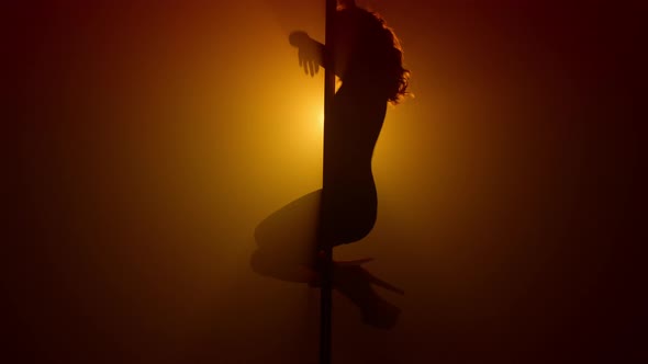 Silhouette Woman Pole Dancing Emotionally on Nightclub