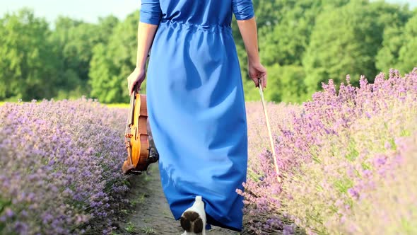 Woman in Blue Dress Walks with a Violin on Lavender Field