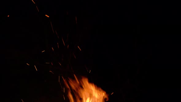 Burning Bonfire on a Black Background Surrounded By Branches