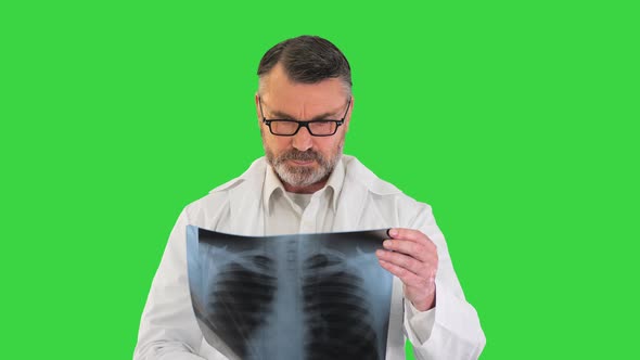 Doctor Wearing Lab Coat Analyzing Xray Image of Lungs on a Green Screen Chroma Key