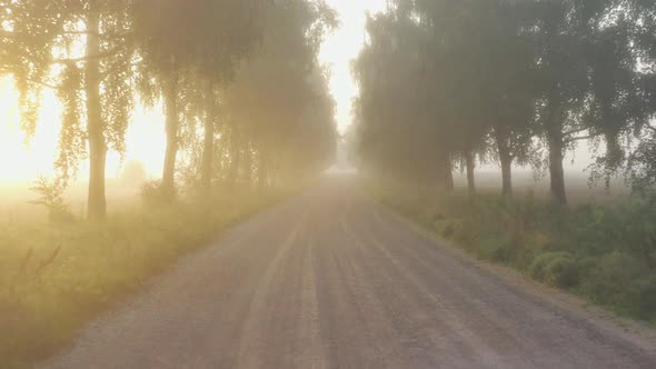 Birch Avenue Road