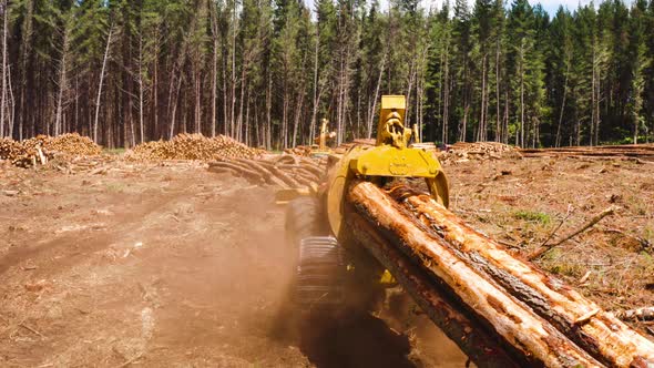 Skidder dragging lumber logs in clearcutting area for processing, woodpile