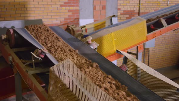 Conveyor Belt Carrying Red Clay