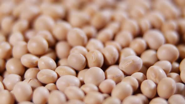Raw Soybean Top View Texture High in Fiber Supplementary Food Protein Healthy Food Soybeans Organic