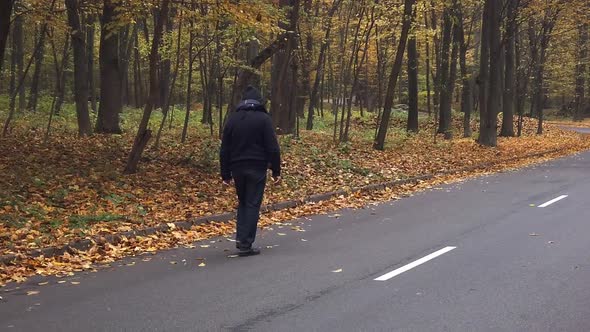 Man Walks Along Forest Road at Early Fall Day  Slow Motion