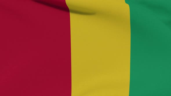 Flag Guinea Patriotism National Freedom Seamless Loop