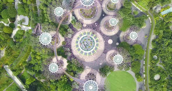 Aerial Footage of Supertree Grove Done By Drone Going From Above the Tree Top Down in Circles
