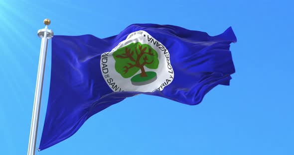 Flag of San Vicente Department, El Salvador