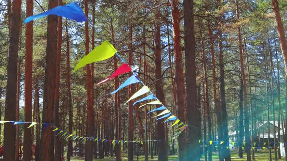 Happy Hollidays Triangle Flags