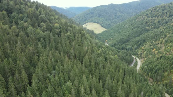 Nature of Ukraine: Carpathian Mountains Slow Motion. Aerial View