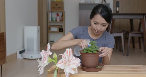 Woman cut the pot of plant at home