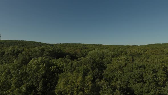 Impressive drone shot of vast nature hills before lowering down into forest