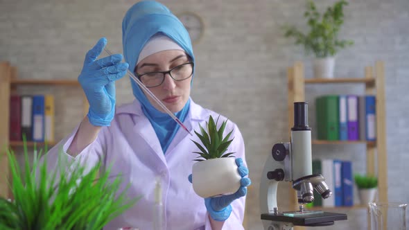 Muslim Woman Scientific Botanist in a National Scarf Working in the Laboratory Conducting