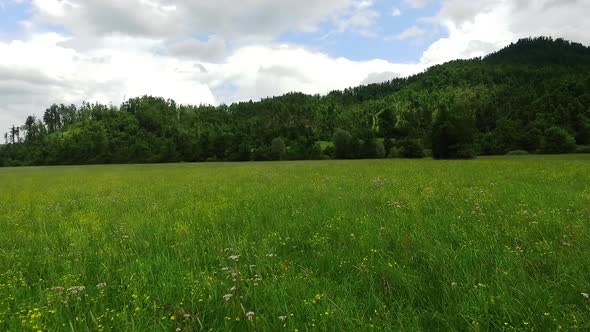 Flying Over a Field of Grass with Trees and Valleys in the Background